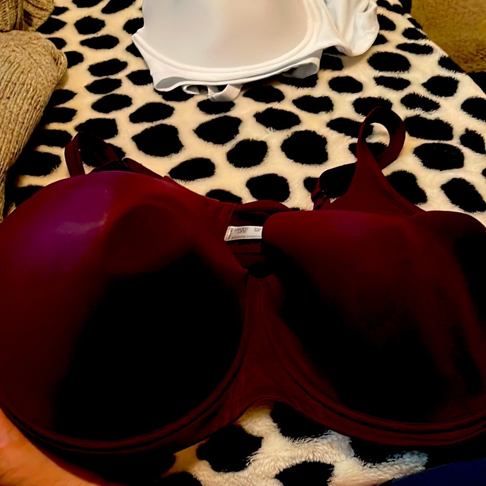 Bra